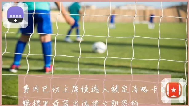 费内巴切主席候选人锁定马略卡前锋穆里奇若当选将立即签约
